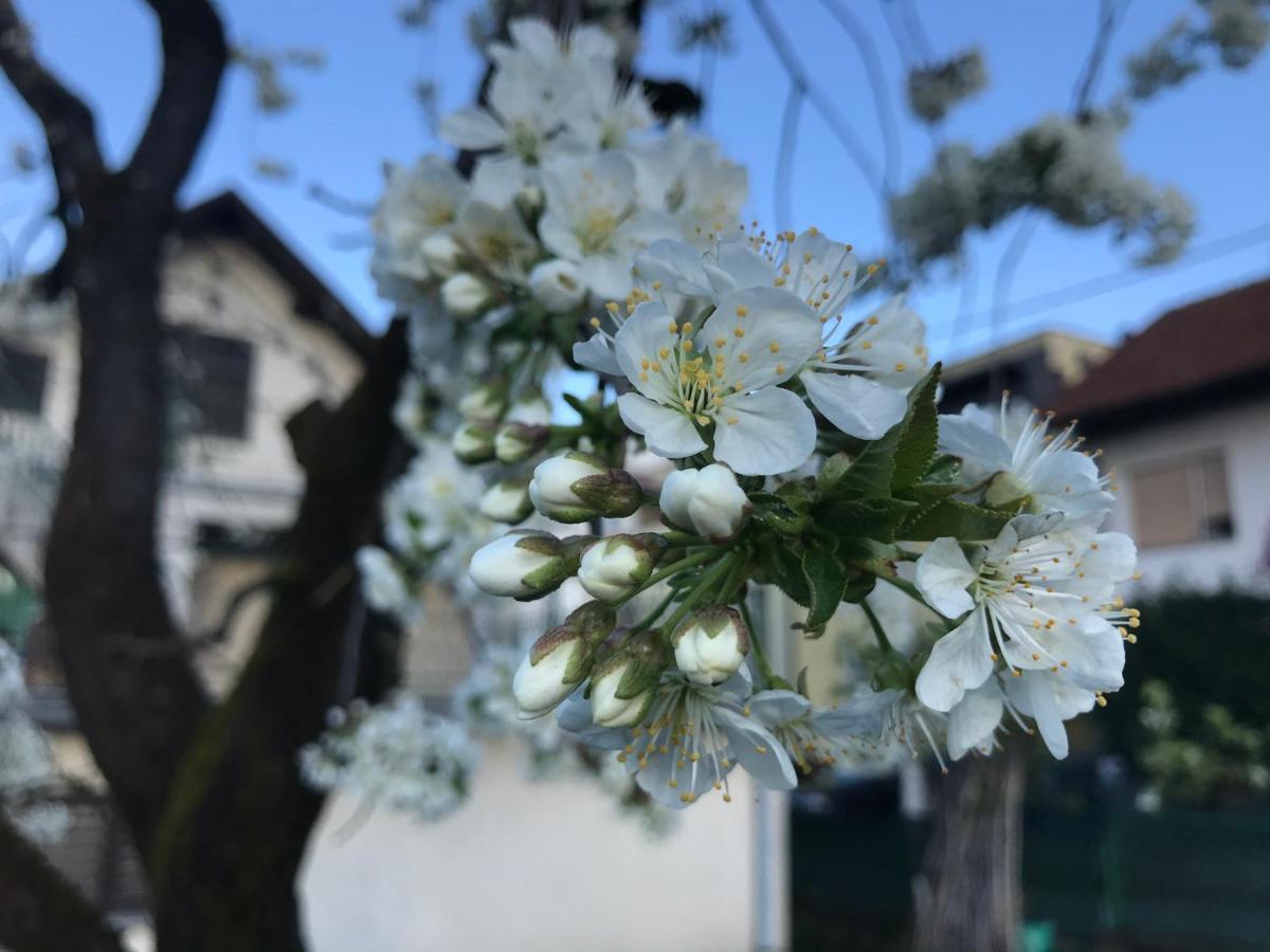 Apartman Katarina Zagreb Dış mekan fotoğraf