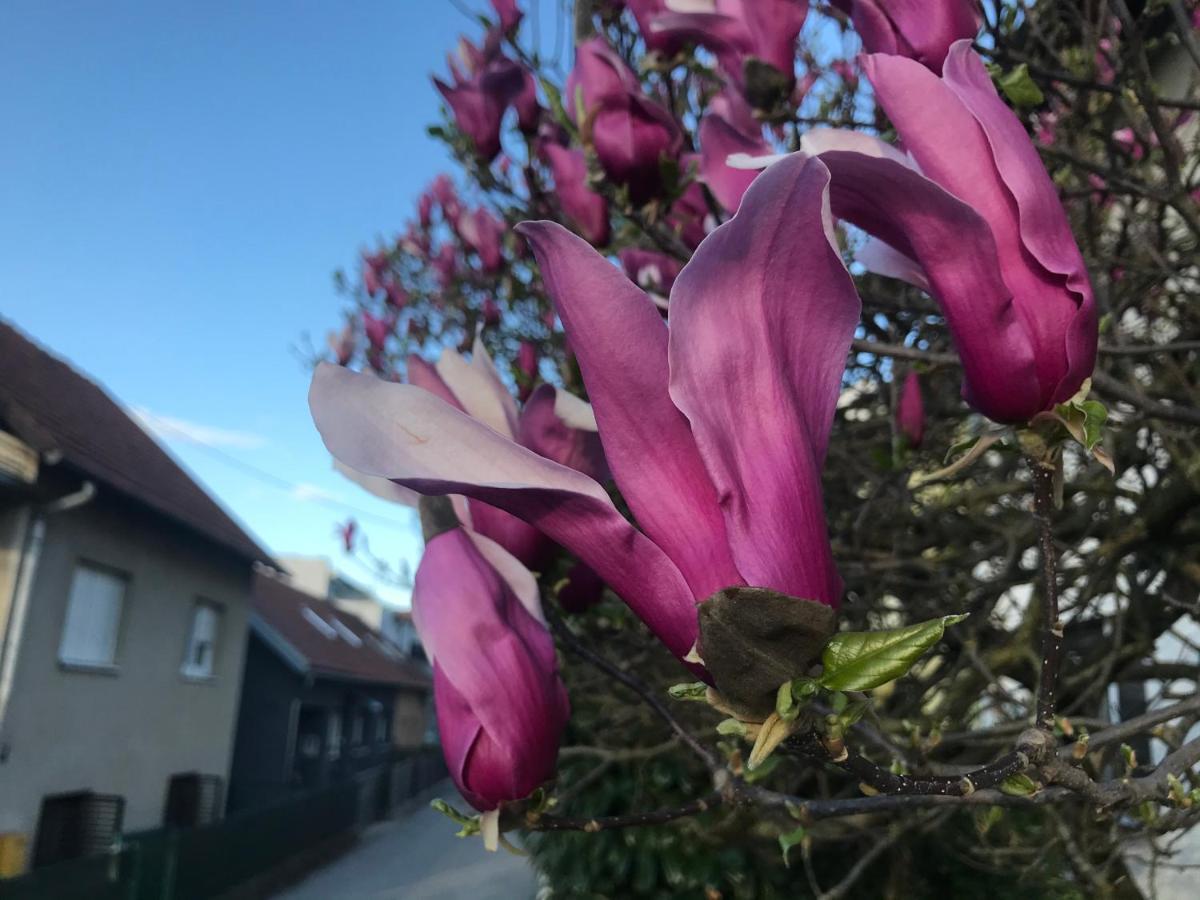 Apartman Katarina Zagreb Dış mekan fotoğraf